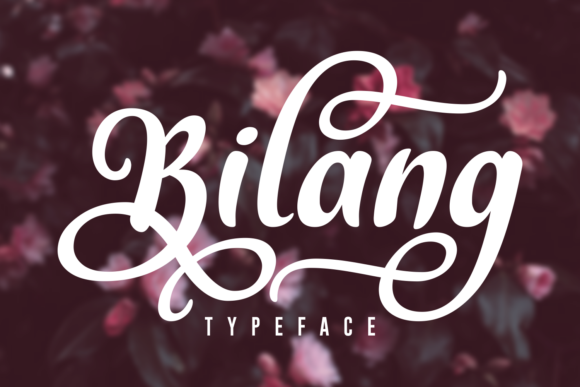 Download Bilang - Premium Resources